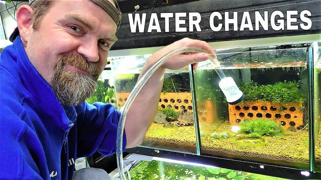 Mark Cleaning a shrimp tank