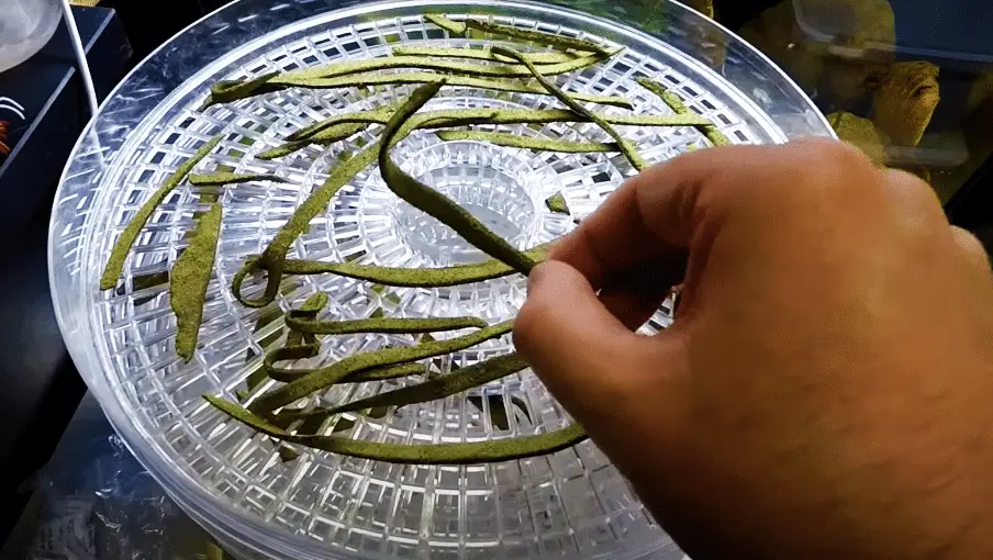 Drying DIY Shrimp Food