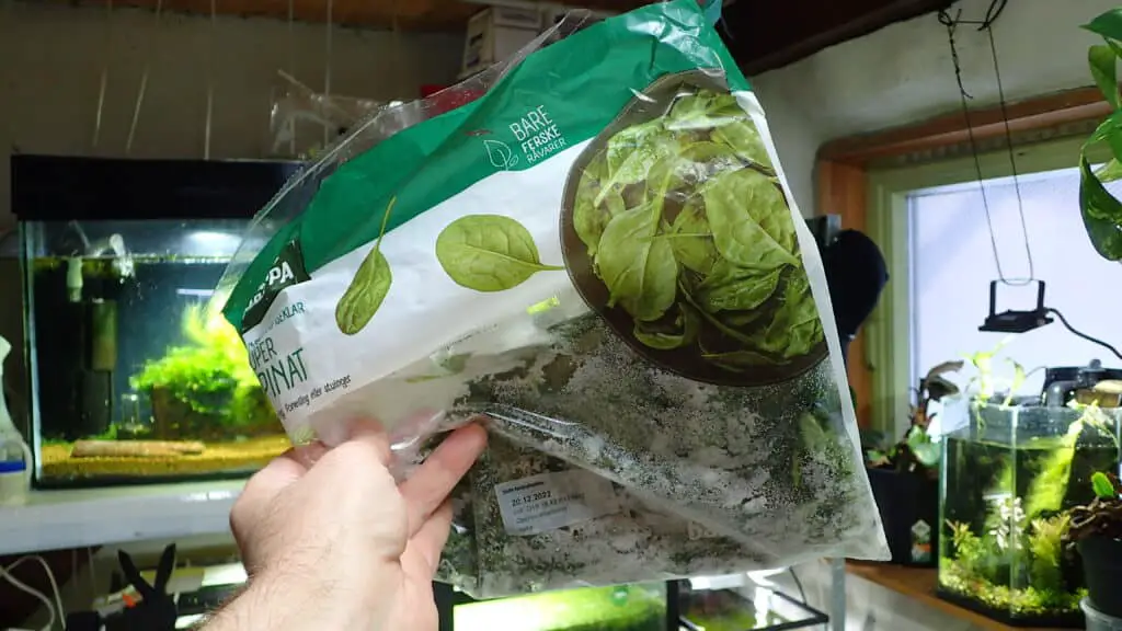 Frozen spinach 