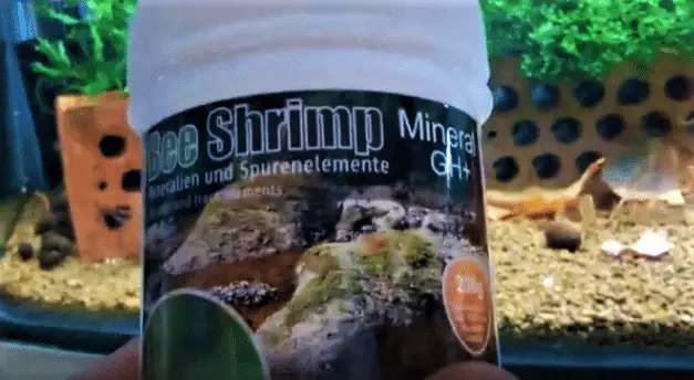 Bee Shrimp Mineral GH+