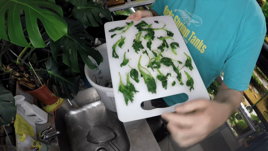 Blanching Vegetables for fish ,shrimp and snails (4)