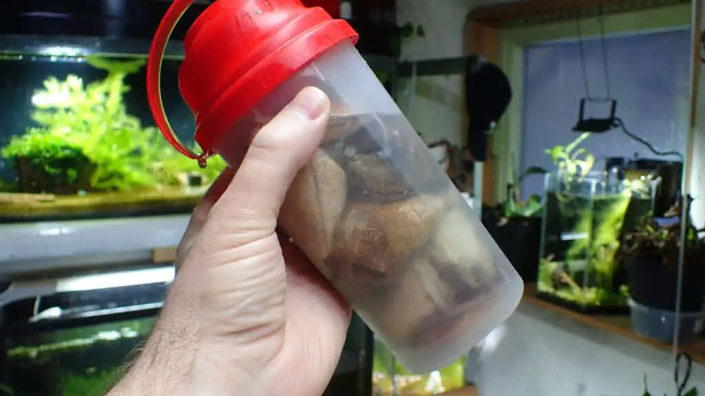 Old protein shaker