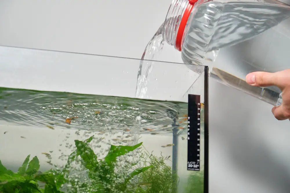 You can use filtered rainwater to top up aquariums.
